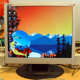 Computer Monitor